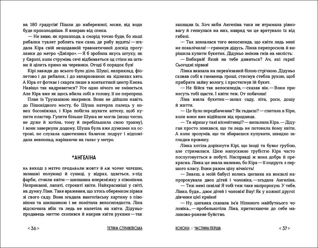 Кокони - Тетяна Стрижевська (R1006003У) - фото 3