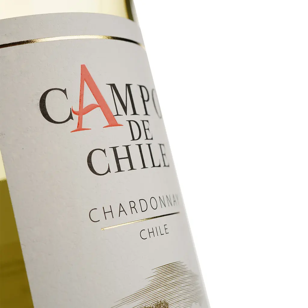 Вино Campo de Chile Chardonnay, белое, сухое, 12,5%, 0,75 л - фото 3