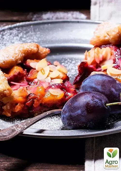 Саженец Agro-Market Слива Анна Шпет (осенний сорт, поздний срок созревания) 1 шт. в упаковке (35792) - фото 3