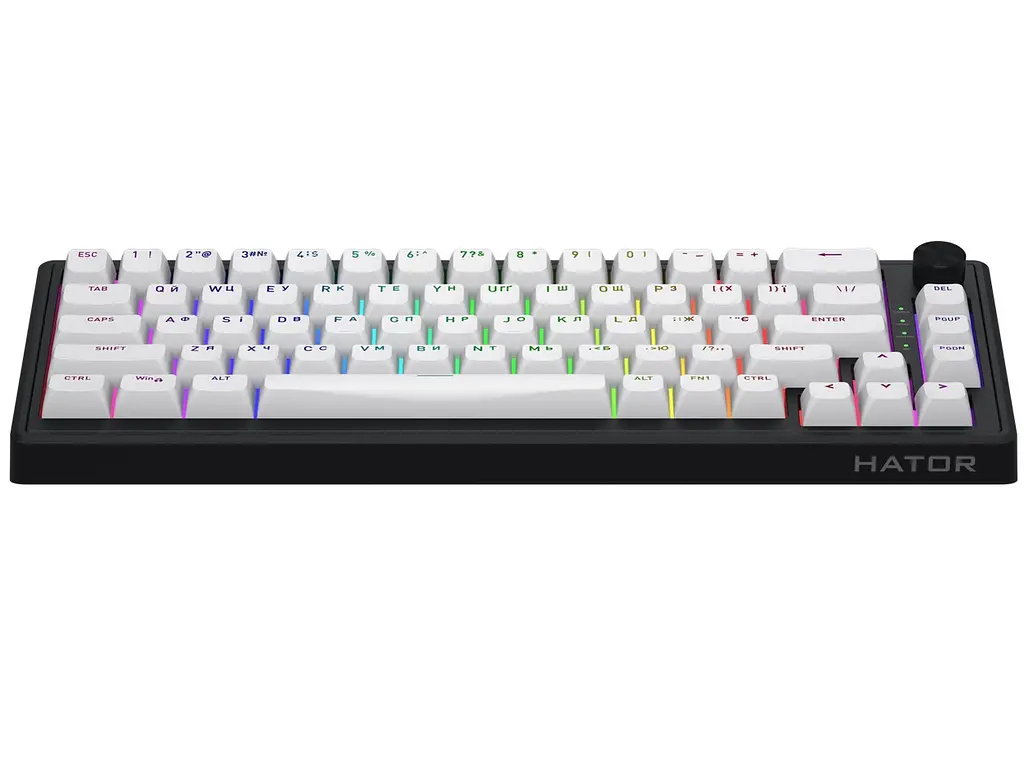 Клавіатура ігрова механічна HATOR HTK-3160-UA Skyfall 65 Wireless Aurum Sterling Switch USB, 2,4 ГГц, BT 5.3 Black-White - фото 2