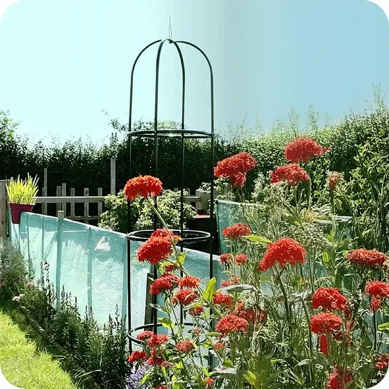 Садова пергола Krumad Terrace KMDW17 190×40×40 см (металева арка для витких рослин) - фото 3