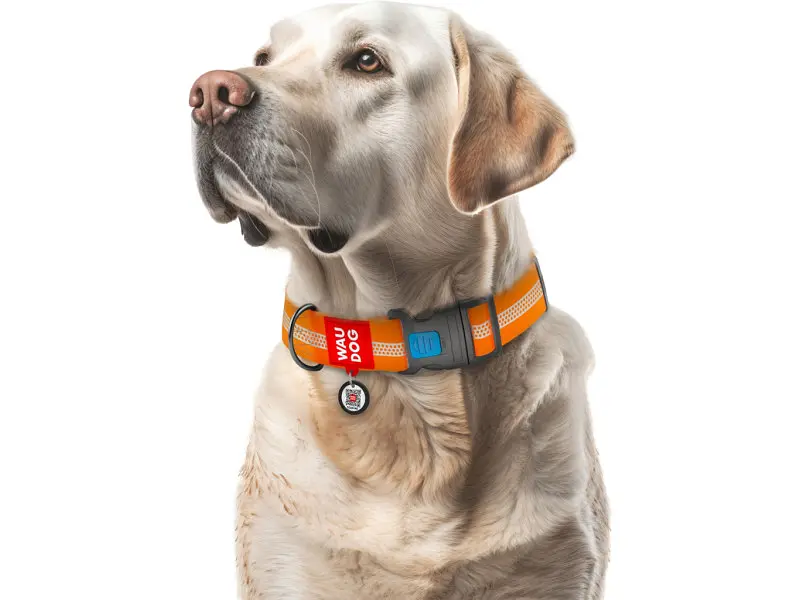 Ошейник для животных WAUDOG Waterproof пластиковый фастекс XXL Ш 40 мм Д 46-70 см оранжевый (25104) - фото 4