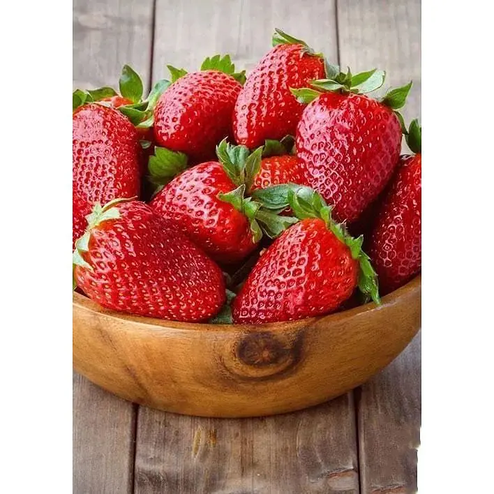 Саджанець Agro-Market Полуниця Полка 5шт (пізній термін дозрівання) (23398) - фото 3