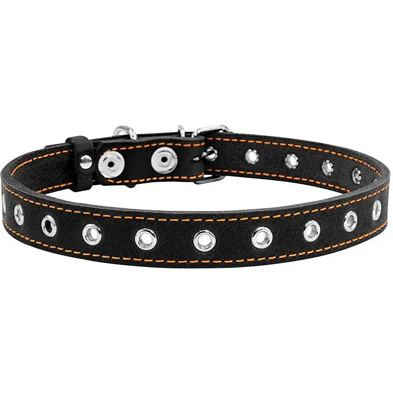 Нашийник для собак Collar, шкіряний, безрозмірний, 60х2,5 см, чорний - фото 2