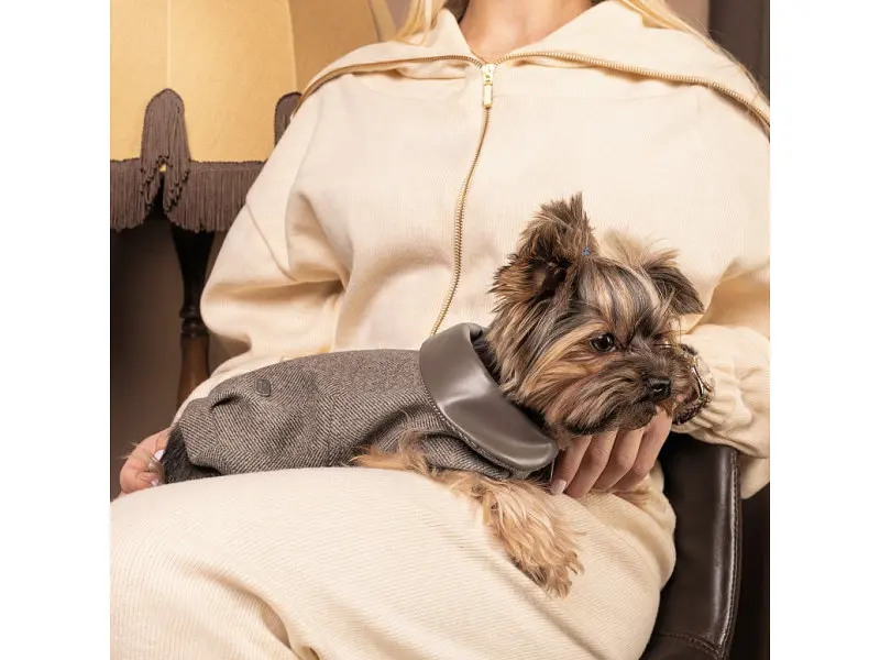 Жилет для тварин Pet Fashion Harry XS2 (4823082430109) - фото 4