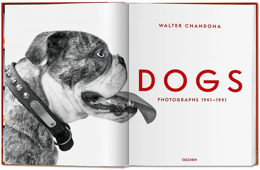 Chandoha. Dogs. Photographs 1941–1991 - фото 2