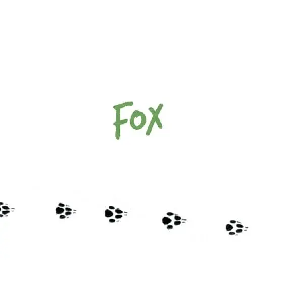 Forest Animals - фото 3