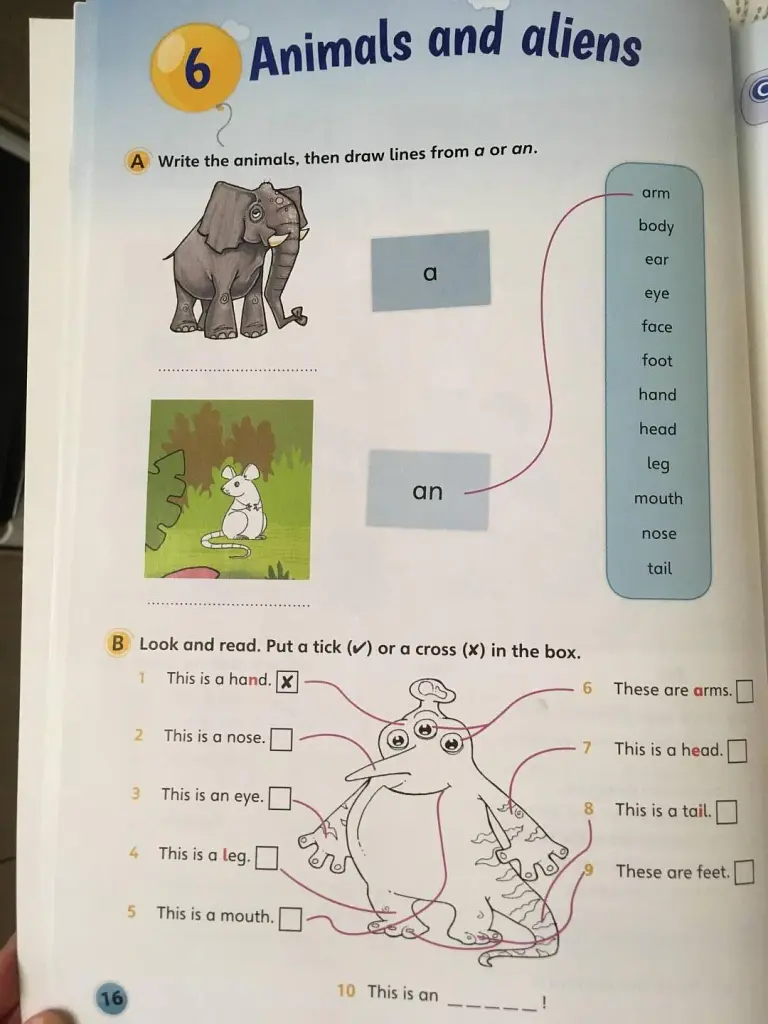 Fun for Starters. Student's Book with Online Activities with Audio and Home Fun Booklet 2 - Енн Робінсон - фото 5