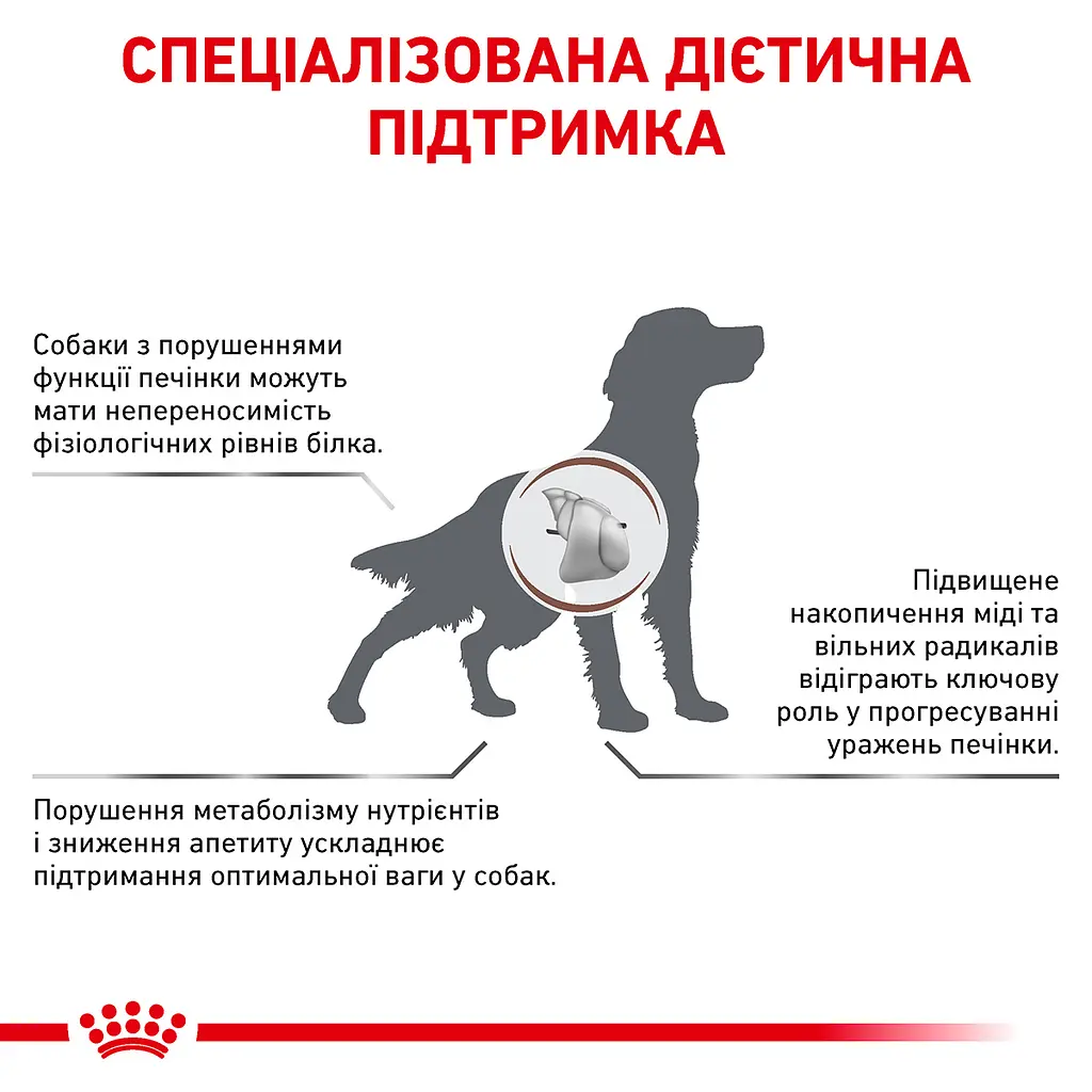 Сухий корм для дорослих собак Royal Canin Hepatic для підтримки функції печінки при хронічній печінковій недостатності 1.5 кг - фото 3