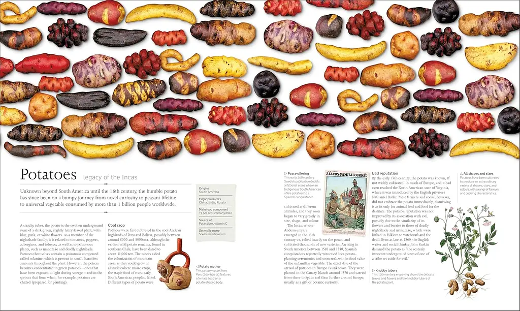 The Food Book - фото 2