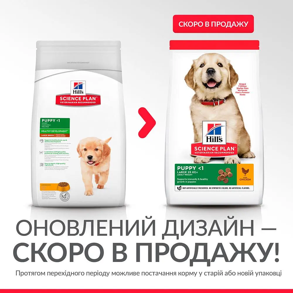Сухий корм Hill's SP Puppy Large Breed C 0,8 кг для цуценят великих порiд зі смаком курки - фото 2