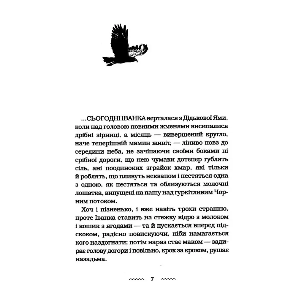Книга Черевички Божої матері - Марія Матіос А-ба-ба-га-ла-ма-га (9786175852248) - фото 3