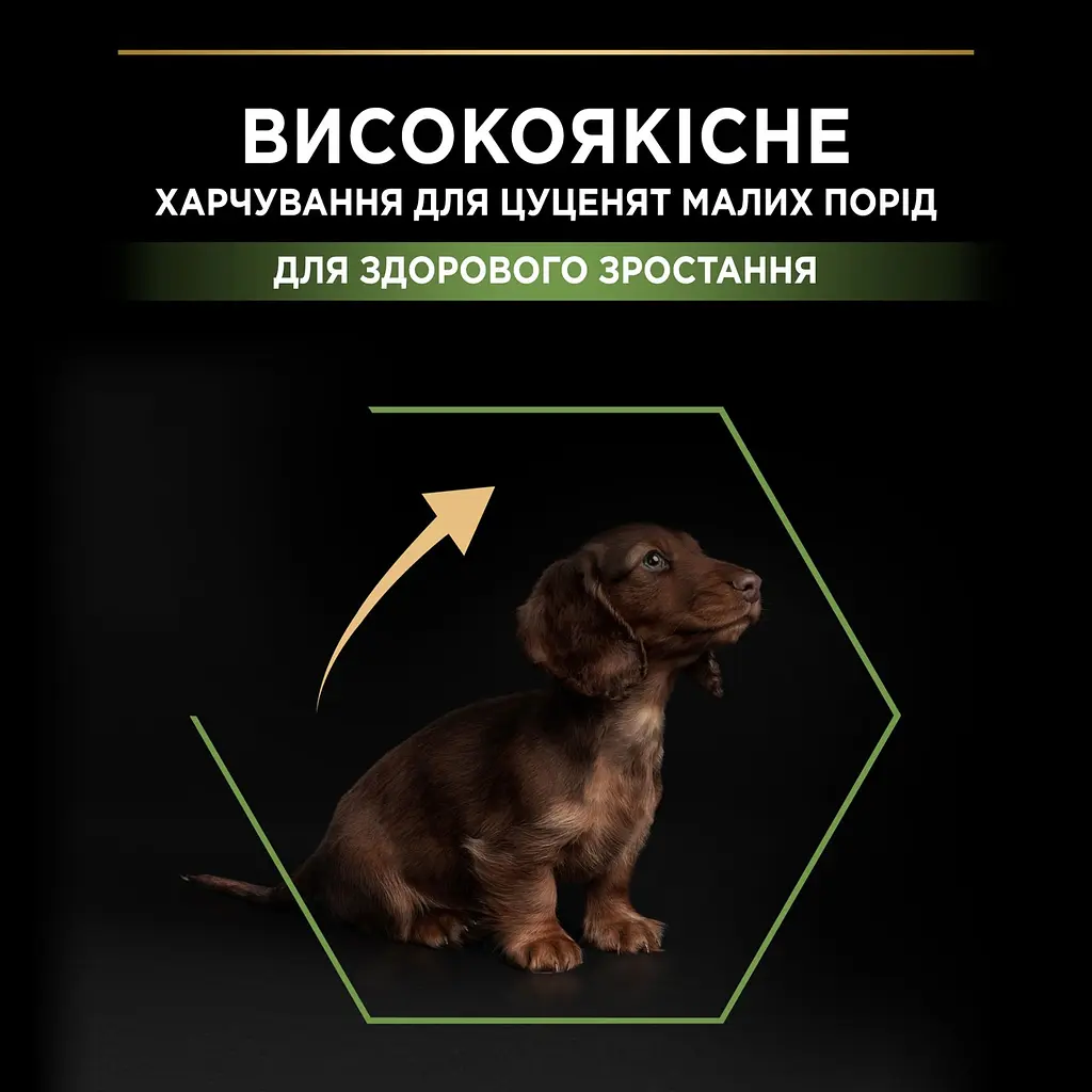 Сухий корм для щенят Purina Pro Plan Small & Mini Puppy Healthy Start з куркою 7 кг 12392131 - фото 5