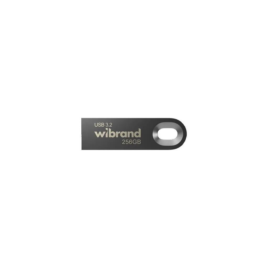 Флеш накопичувач металевий WiBrand Eagle 256 GB USB 3.2 Gen1 - фото 2