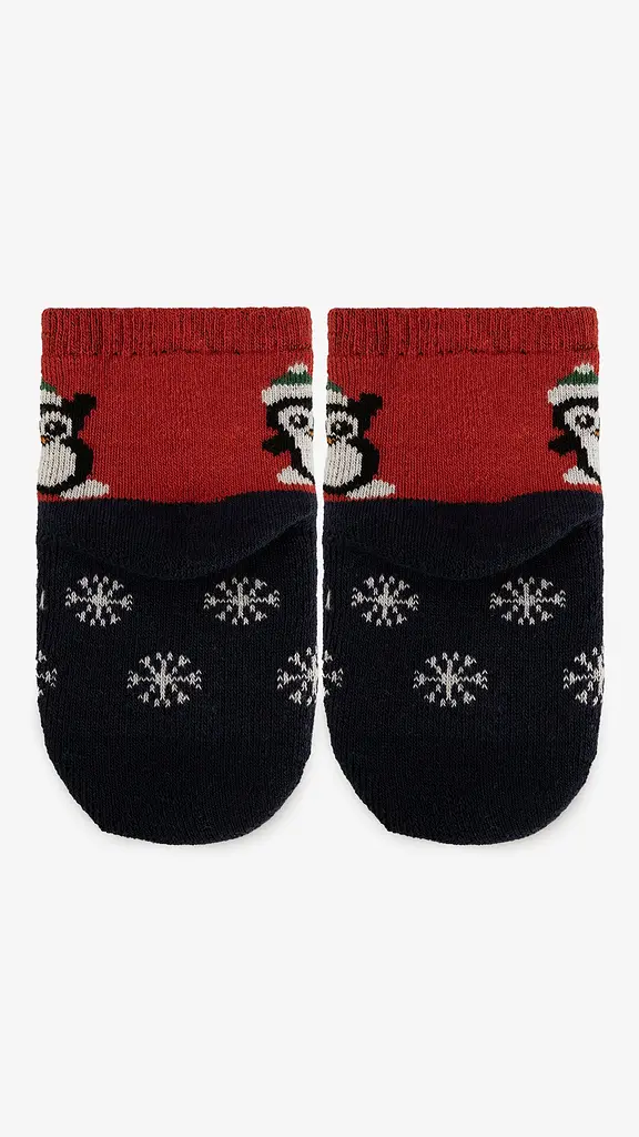 Шкарпетки теплі для хлопчика Very Socks H-BEBE-01/1 0-1 рік Різнокольоровий (2000999371813) - фото 3