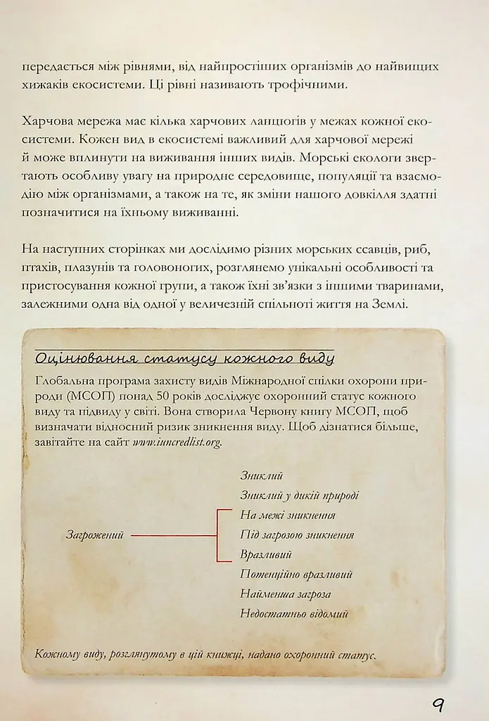 Морські тварини світу. Нотатки, малюнки та спостереження про тварин, що живуть в океані - фото 10