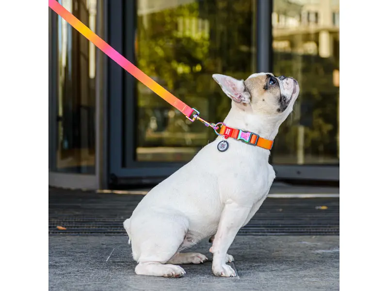 Ошейник для животных WAUDOG Recycled с QR паспортом L Ш 25 мм Д 33-49 см оранжевый (46534) - фото 7