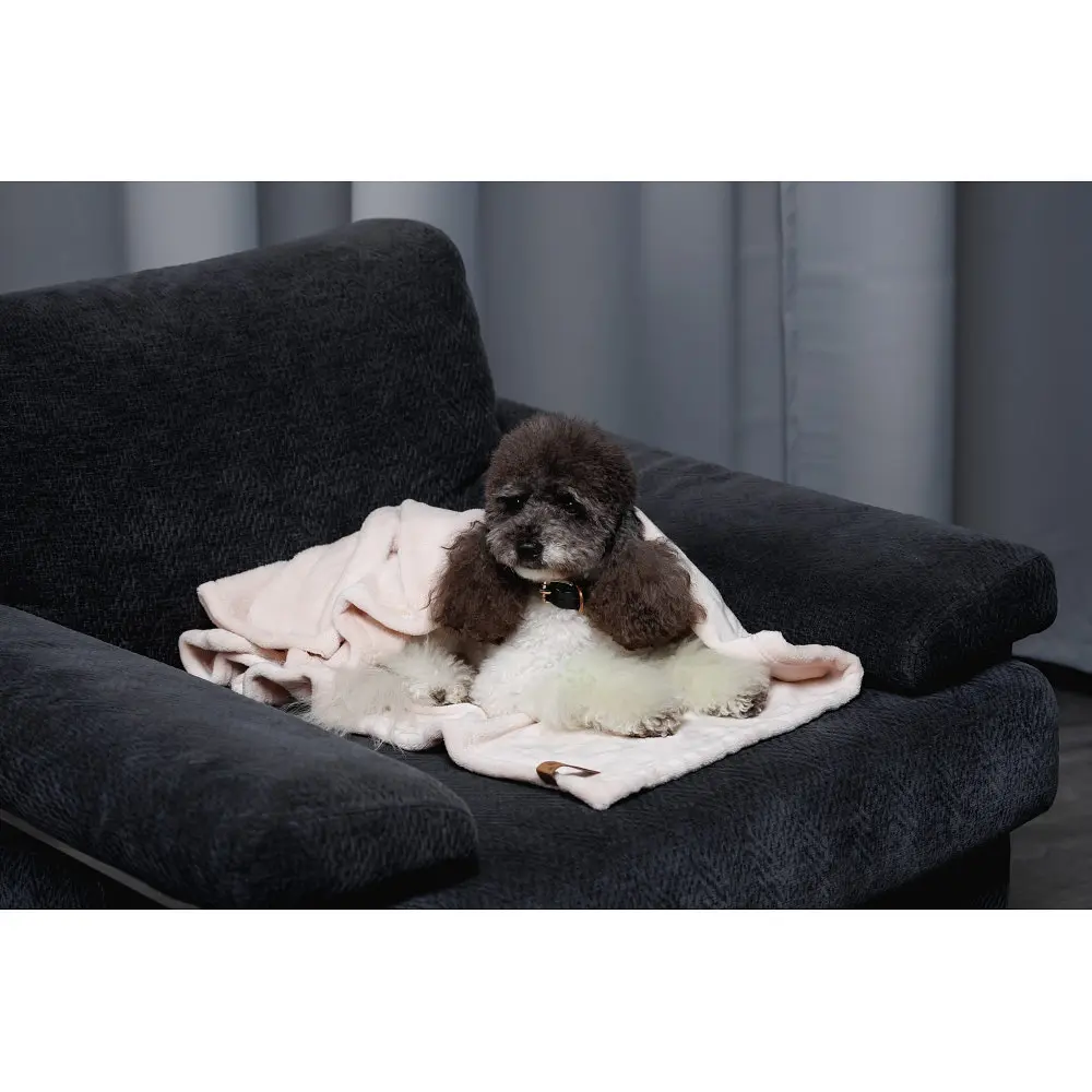 Плед Pet Fashion Bliss 1 для собак і котів плюш пудра 86х67,5 см - фото 9