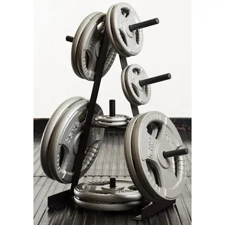 Стійка для дисків Toorx Rack 25 mm (RPD-25) - фото 2