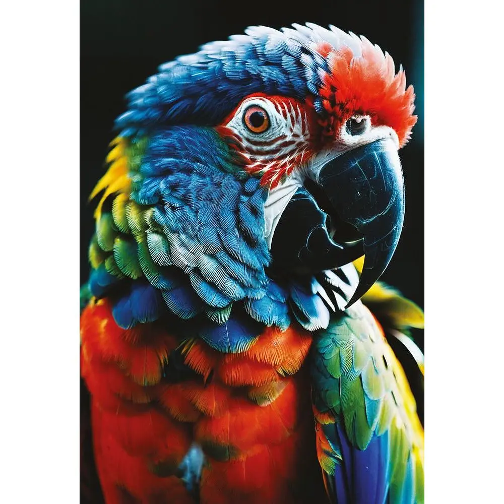 Пазли тришарові Interdruk Барвиста природа Папуга 250 шт. (385550) - фото 3