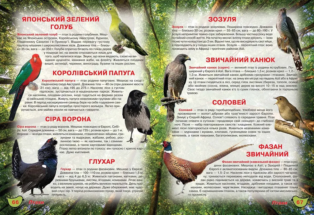 Книга Кристал Бук Ілюстрований атлас живої природи (F00014008) - фото 2