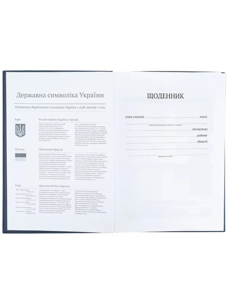 Щоденник шкільний KITE тверда обкладинка сірий (K26-262-12) - фото 4