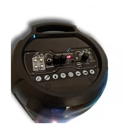 Колонка Big LT-2806 bluetooth + микрофон (289х281х704) XBT USB/MP3/FM/BT/TWS black - фото 5