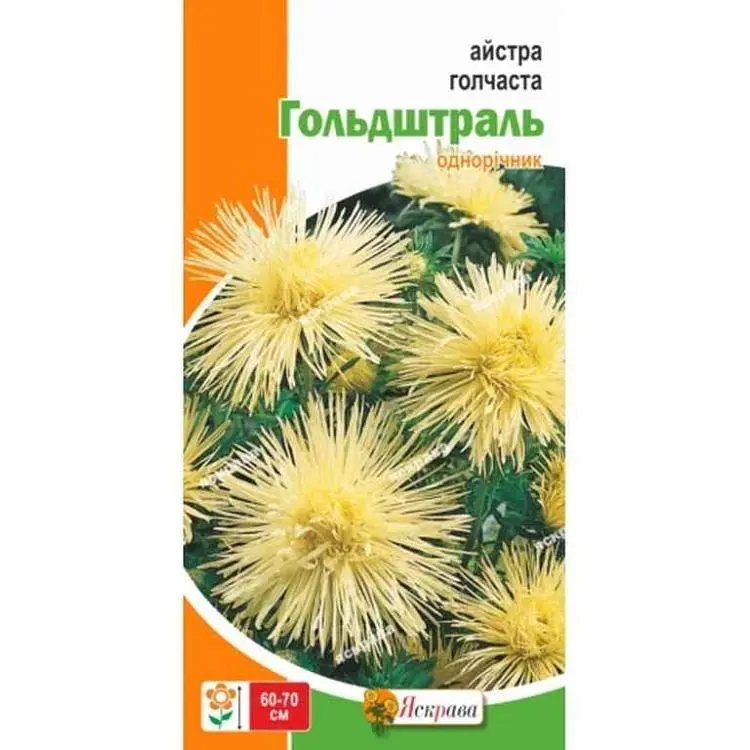 Айстра ЯСКРАВА голчаста Гольдштраль (20 пачок) лимонна 0,3г