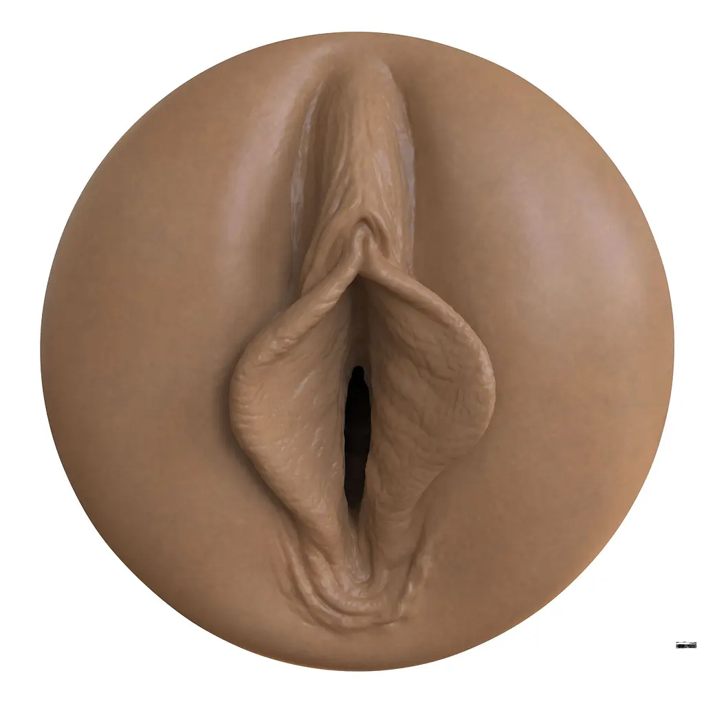 Мастурбатор-вагіна Fleshlight Boost Bang Medium Dark Flesh, плаваючі кільця Turbo Tech - фото 2