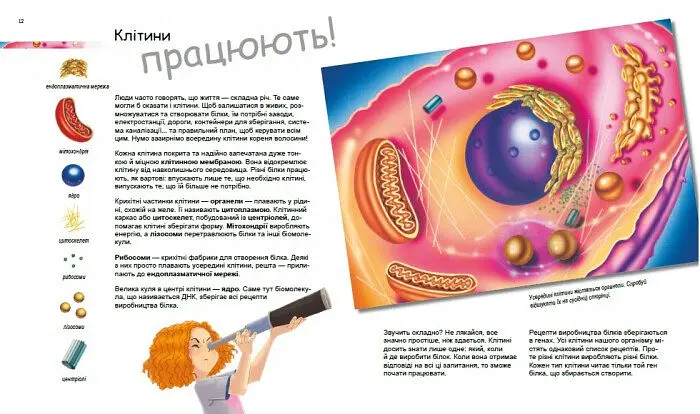 Книга Ранок Дивовижний світ клітин - Патрік А. Боерле (С1354002У) - фото 4