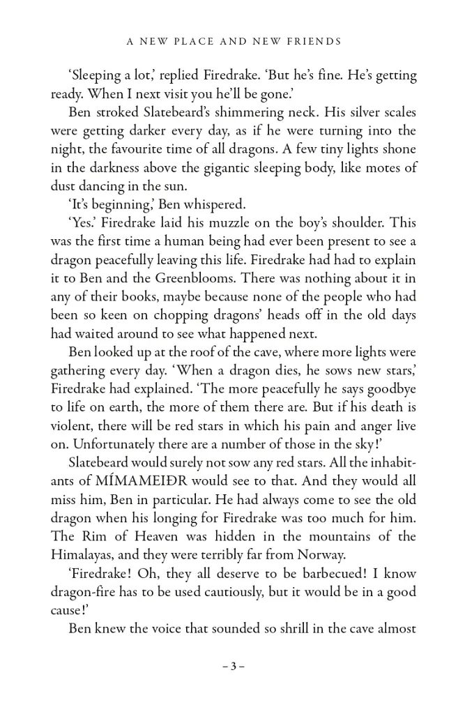 Dragon Rider. The Griffin's Feather. Book 2 - фото 6
