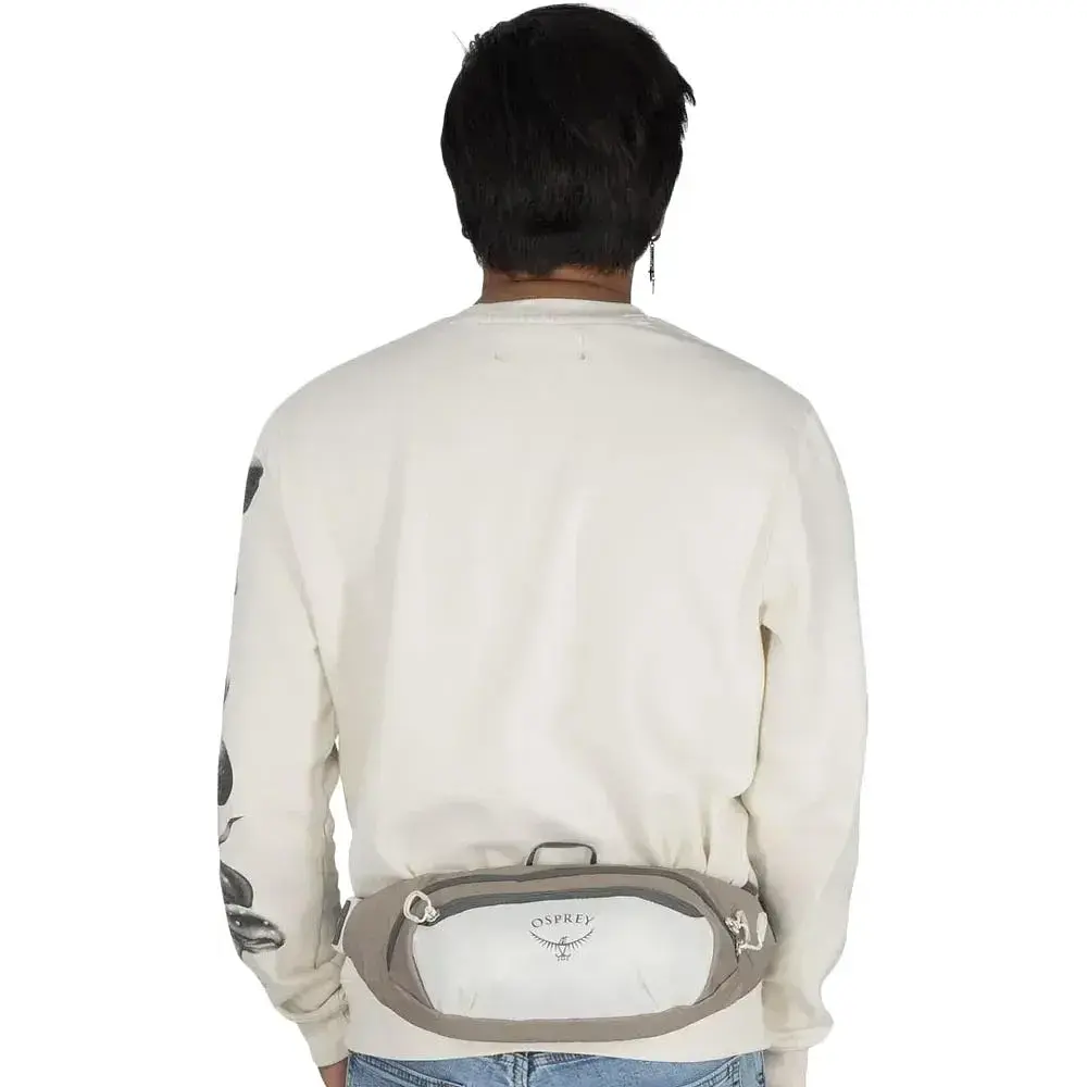 Сумка на пояс Osprey Daylite Waist mystery white multi - фото 5