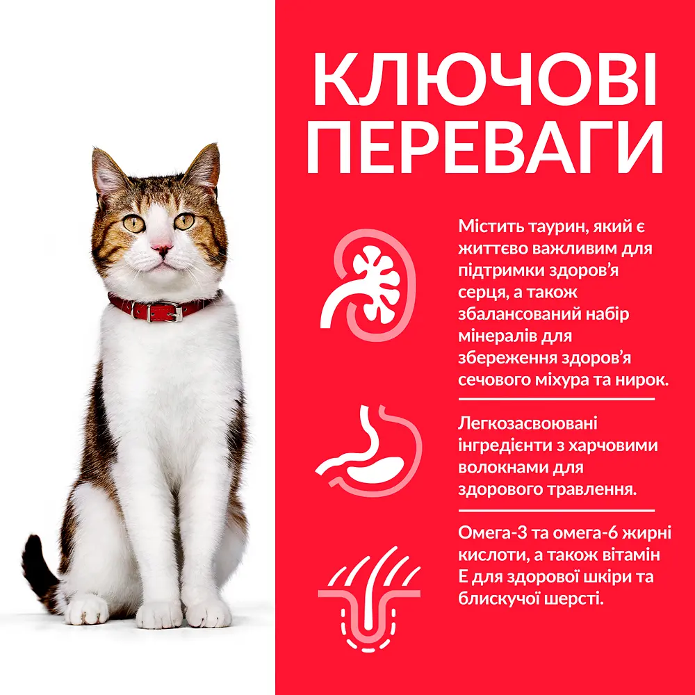 Сухий корм для літніх котів Hill's Mature Adult 7+ Chicken з куркою 1.5 кг 604097 - фото 2