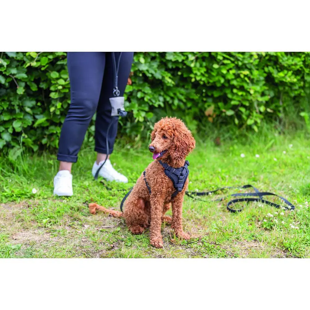 Шлея Trixie CityStyle H-harness для собак бавовна S-M 42-60 см 15 мм чорний - фото 3
