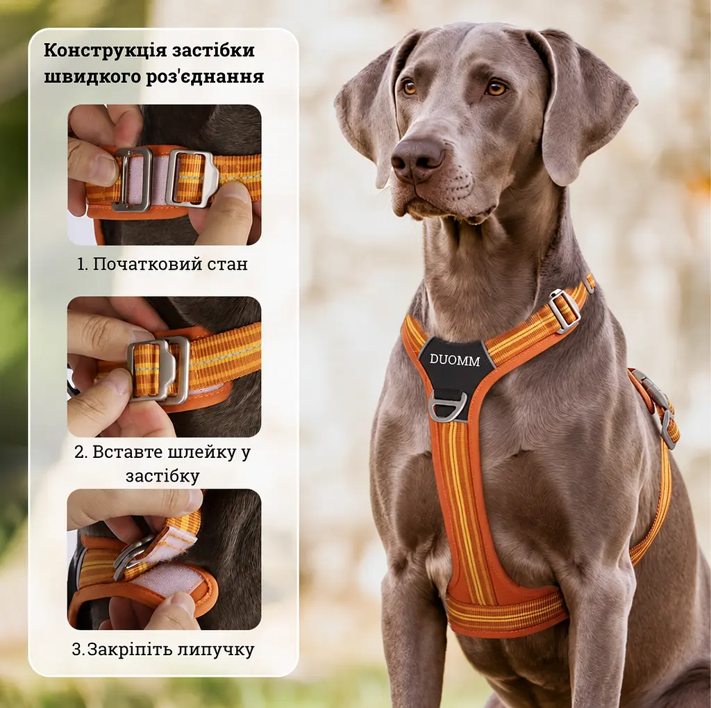 Шлея для собак Duomm No-Pull з повідцем, регульована та світловідбивна помаранчевий, M - фото 4