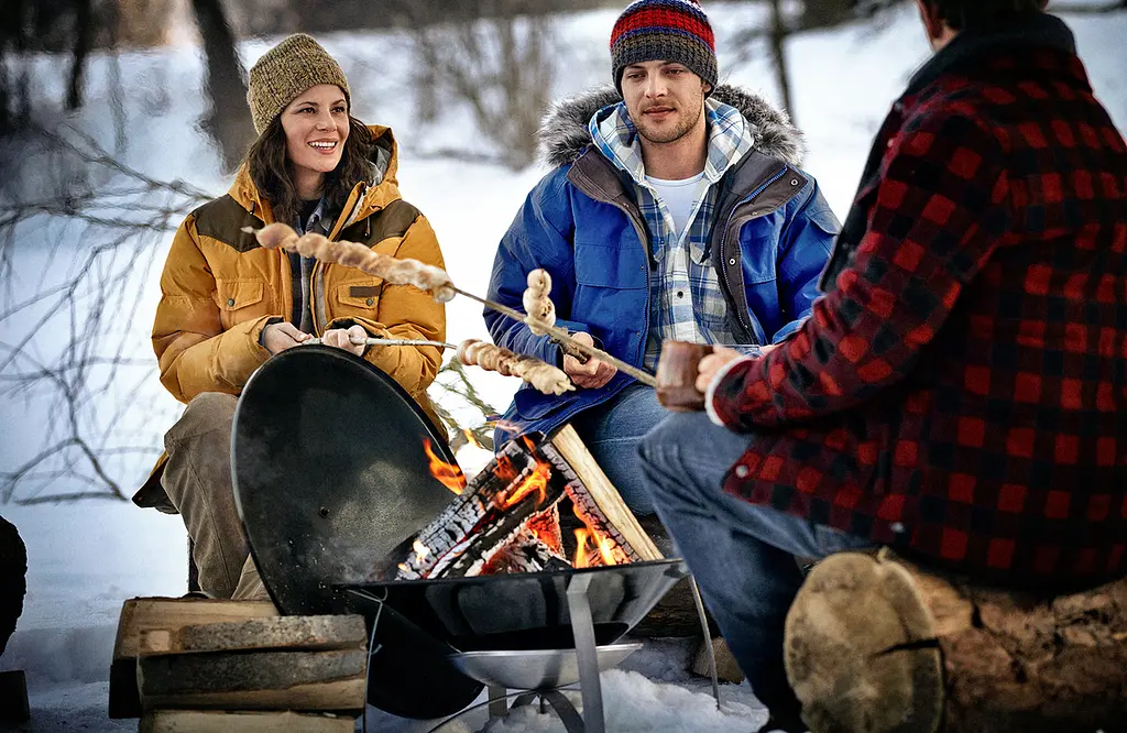 Очаг Weber (2750) - фото 2
