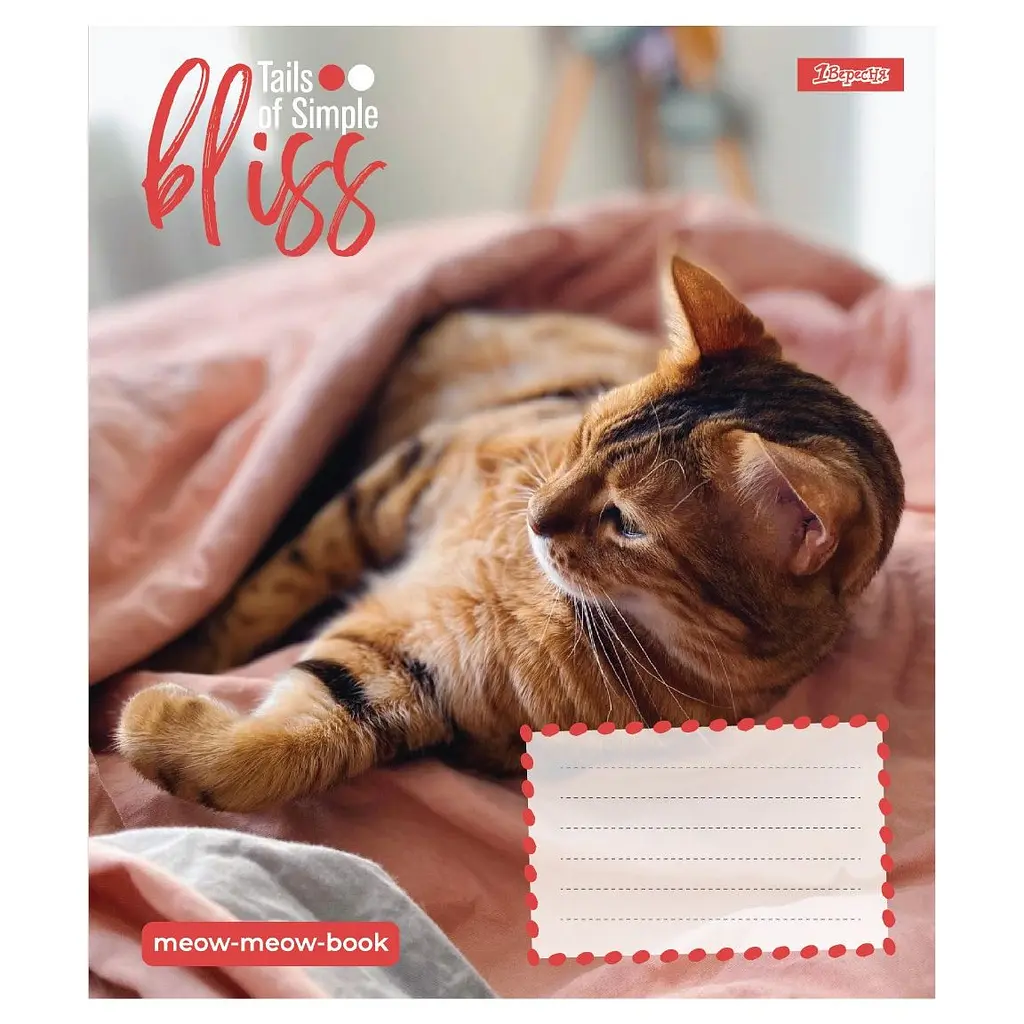Набір зошитів 1 вересня Bliss А5, 12 аркушів 25 шт. (768053) - фото 5