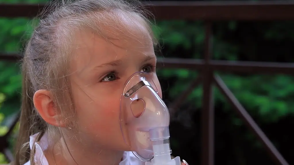 Компрессорный ингалятор Vega VN 420 - фото 8