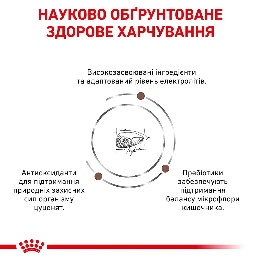 Сухий дієтичний корм для кошенят Royal Canin Gastrointestinal Kitten при порушенні травлення, 2 кг (1228020) - фото 7