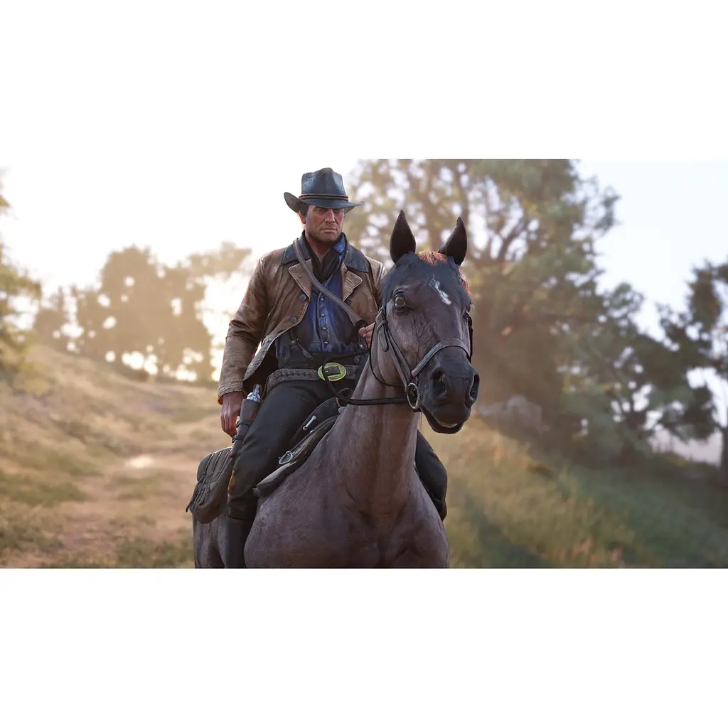 Ключ активації Microsoft Комплект Red Dead Redemption і Red Dead Redemption 2 для Xbox One/Series S/X - фото 2