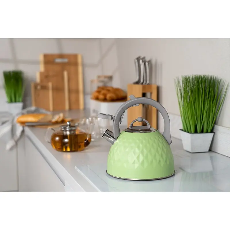 Чайник Ardesto Gemini, 2,5 л, зелений (AR1947KG) - фото 3