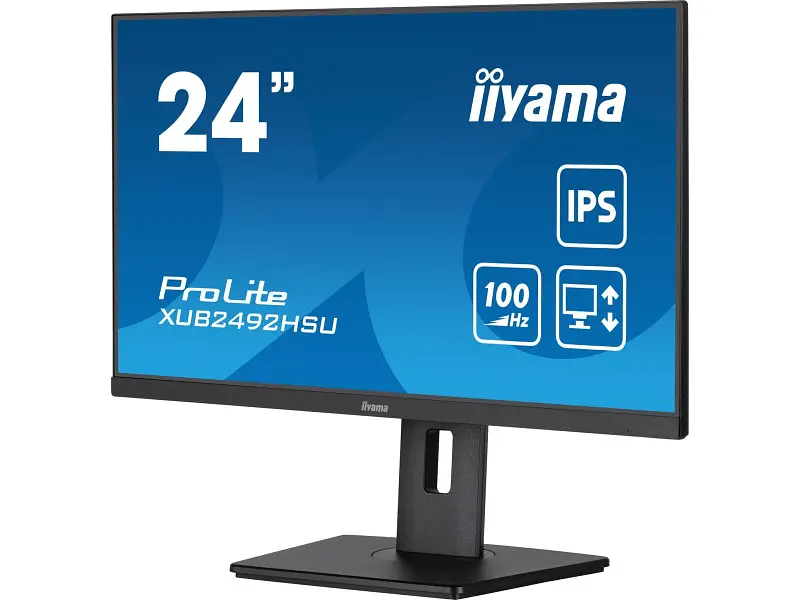 Монітор Iiyama ProLite XUB2492HSU-B6 - фото 2