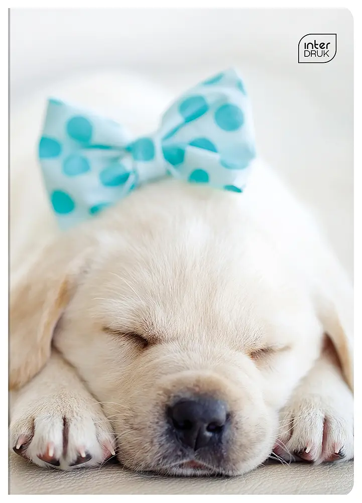 Зошит Interdruk I love pets лінійка A5 12 аркушів 8 шт. (298652-8) - фото 2