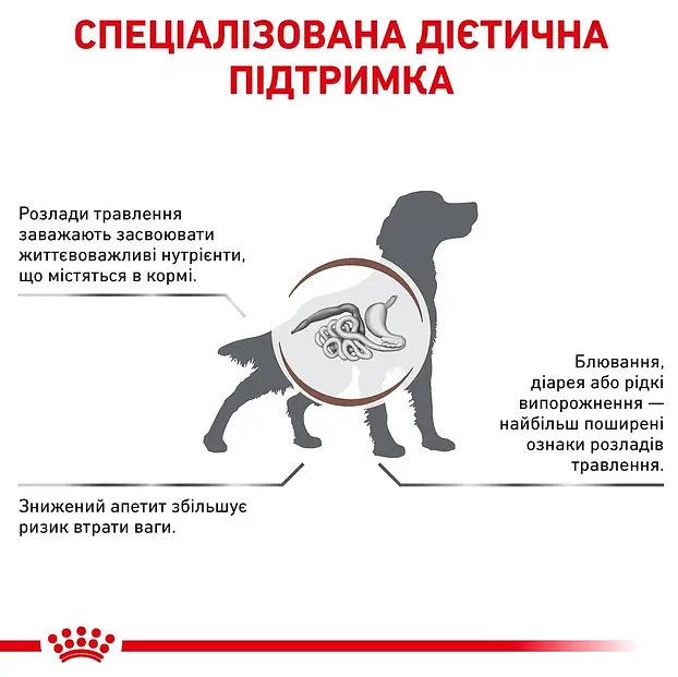 Сухий корм для собак Royal Canin Gastro Intestinal 2 кг 39110201 - фото 3