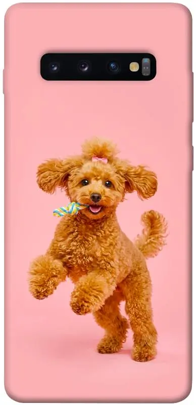TPU чохол Demsky Happy poodle для Samsung Galaxy S10+