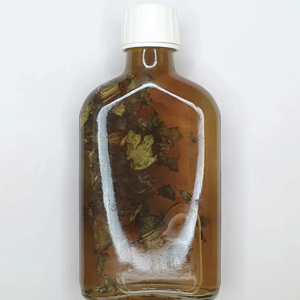 Настойка на траве огуречник лекарственный бораго огуречная трава 200 мл - фото 2