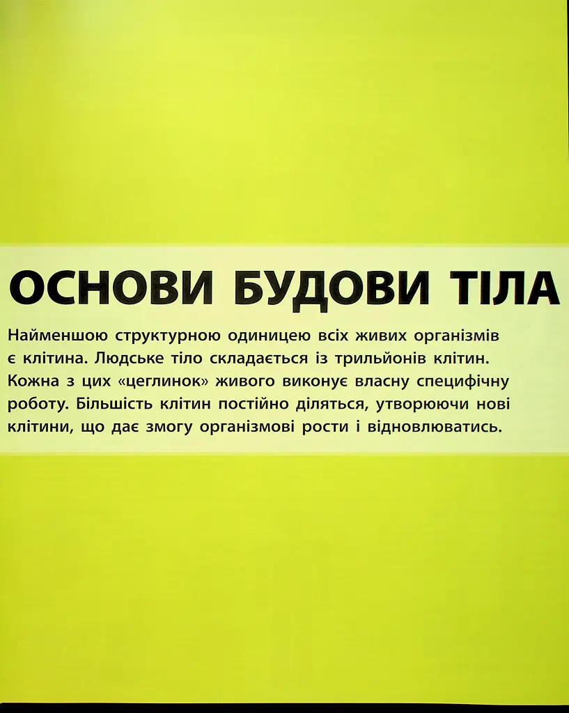 Енциклопедія знань. Тіло людини - Пітер Крісп - фото 6