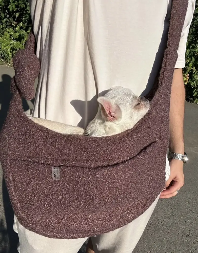 Слінг сумка переноска через плече для тварин собак котів дрібних порід до 6 кг ремінцем із кишенею dogs bomba коричневий  - фото 4