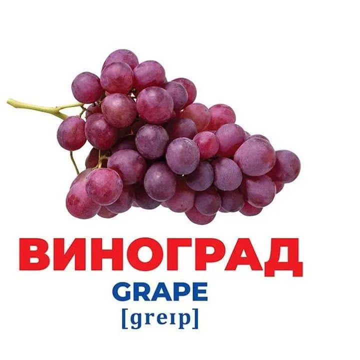 Набор развивающих карт Ranok Creative Гений из пеленок Фрукты и ягоды 17 шт. 10107195У  - фото 3