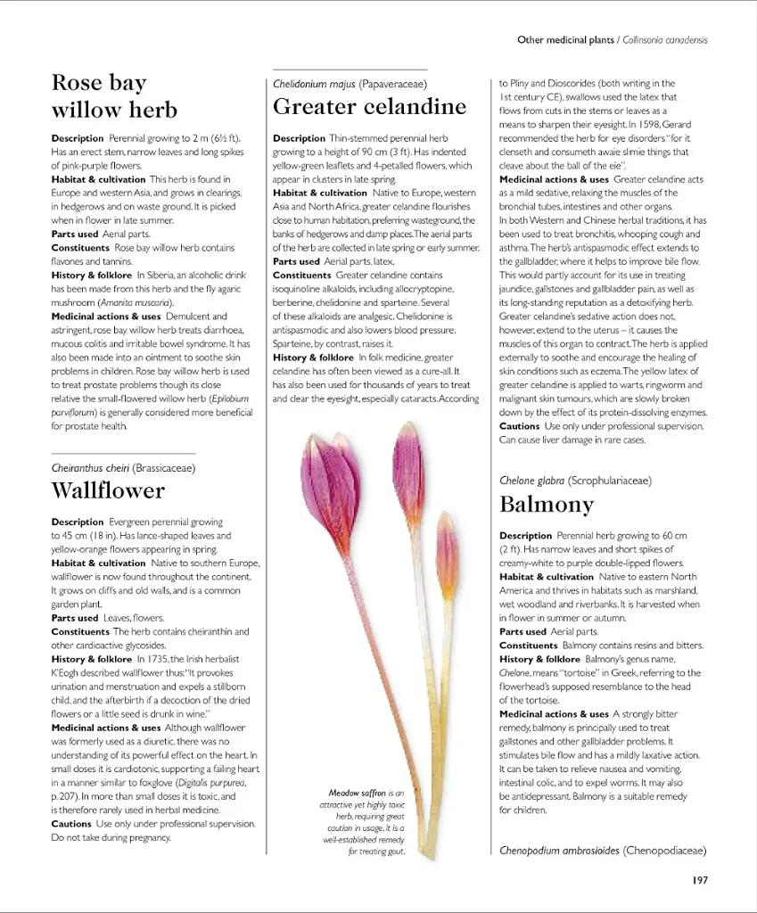 Encyclopedia of Herbal Medicine - фото 12